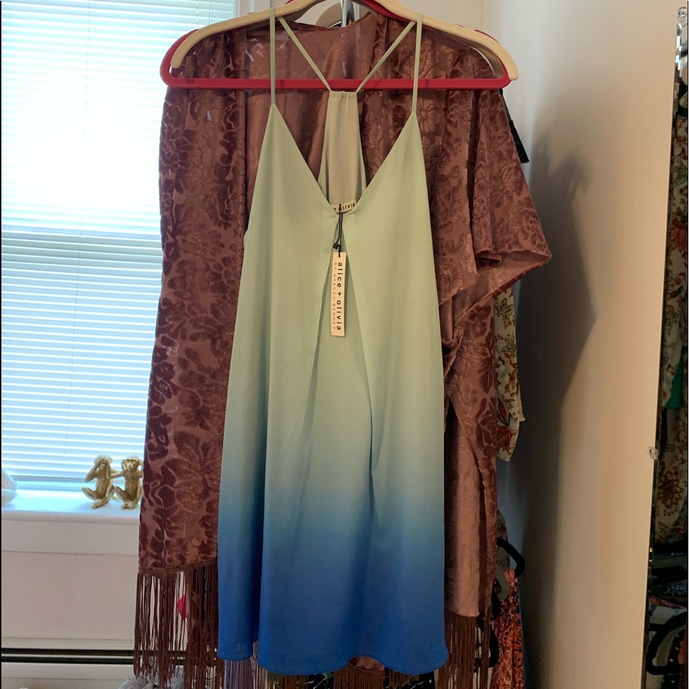 Alice + Olivia Ombré Shift Dress